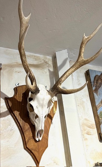 Hjorte opsats Hjorte opsats